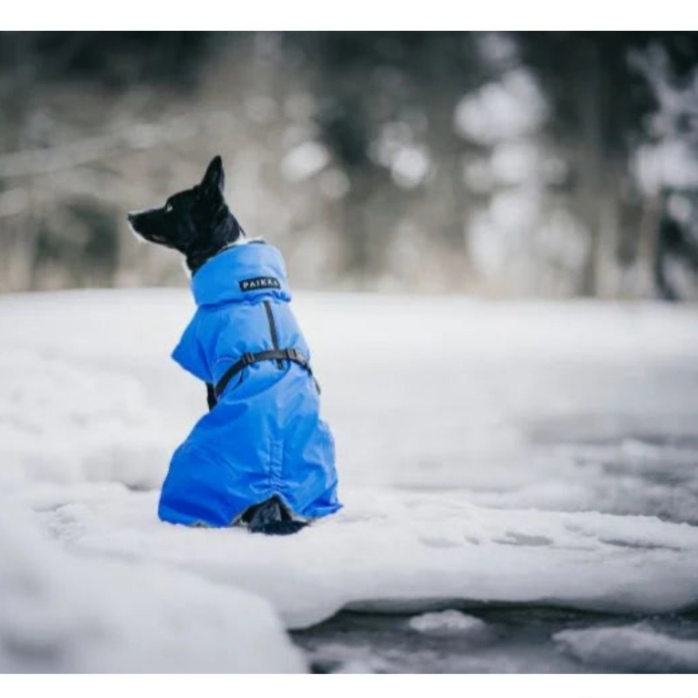 NEW PAIKKA Visibility Winter Dog Jacket Parka Indigo Waterproof Insulated - Picture 2 of 10